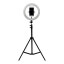 Кольцевая светодиодная лампа со штативом Ring Fill Light диаметр 26 см-1